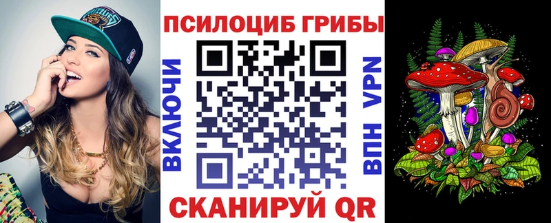 Псилоцибиновые грибы прущие грибы Новороссийск